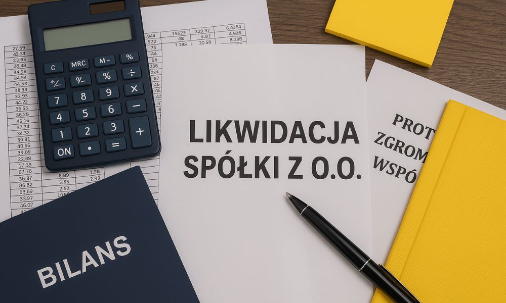 Liquidazione di una società a responsabilità limitata: una guida dettagliata